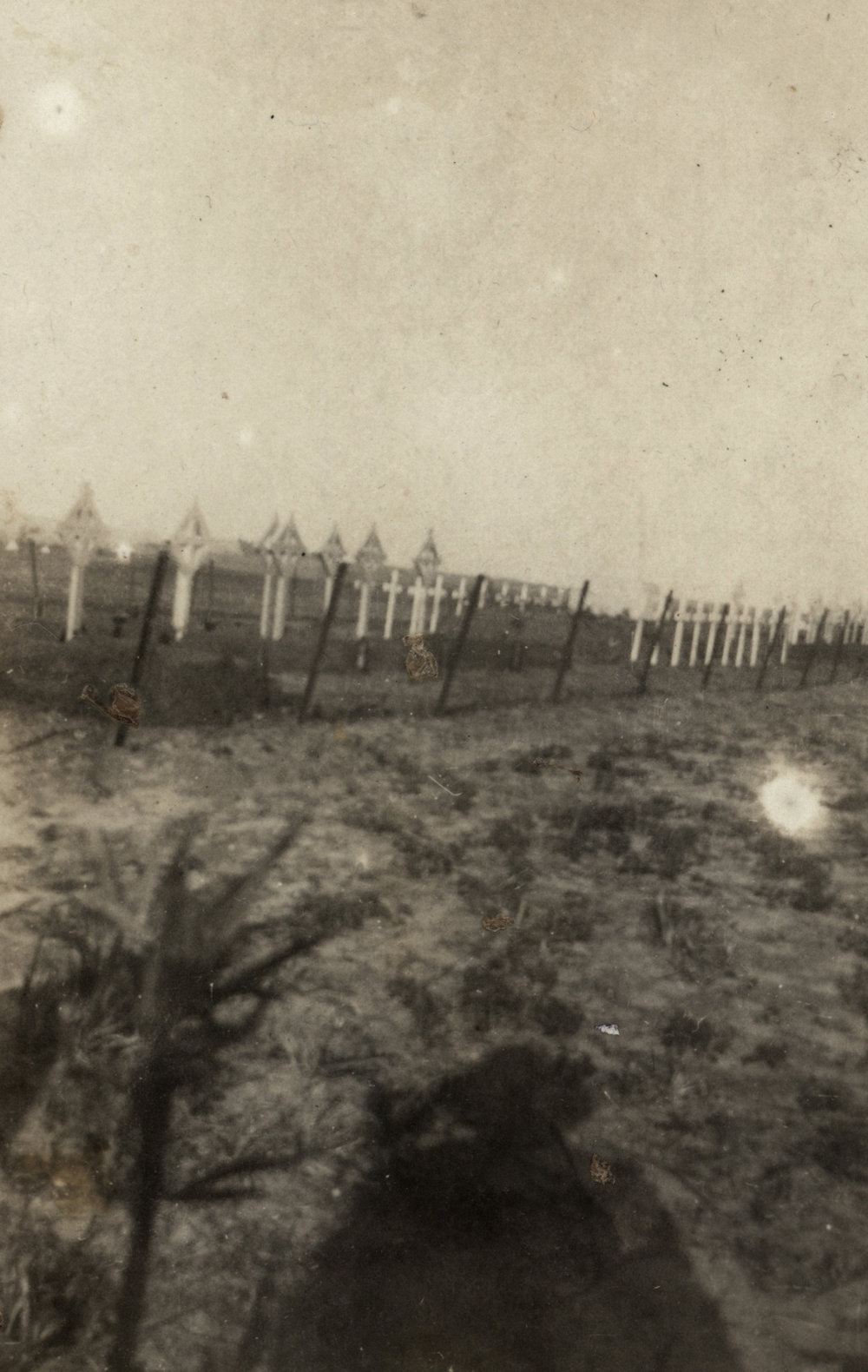 Photo from page 13 of album WWI Photograph Album- Sinai &amp; Palestine and the Western Front