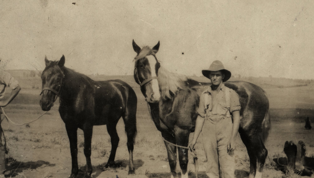Photo from page 15 of album WWI Photograph Album- Sinai &amp; Palestine and the Western Front