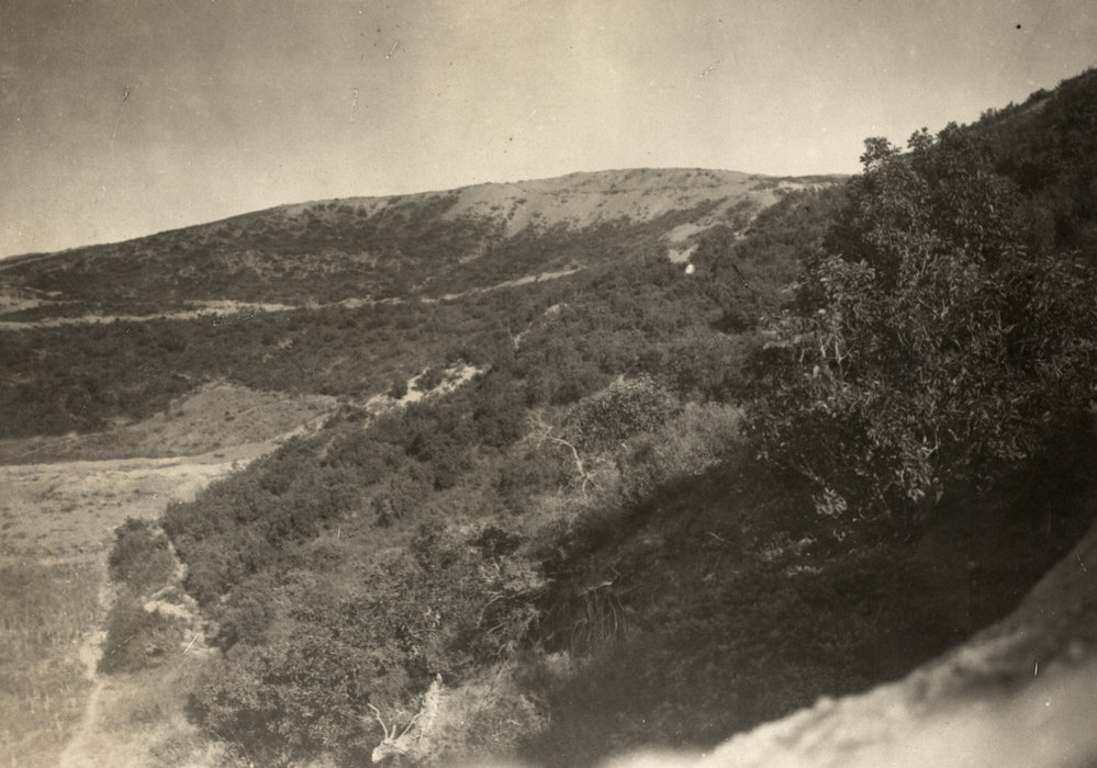 Photo from page 02 of album WWI Photograph Album- Egypt, Gallipoli &amp; the Western Front