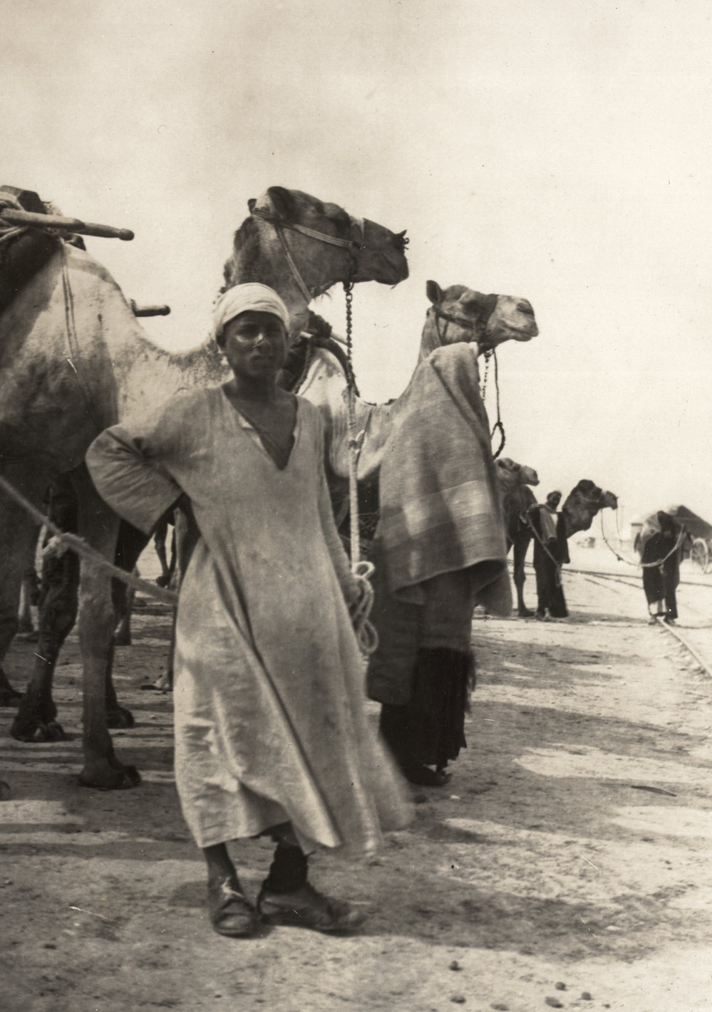 Photo from page 07 of album WWI Photograph Album- Egypt, Gallipoli &amp; the Western Front