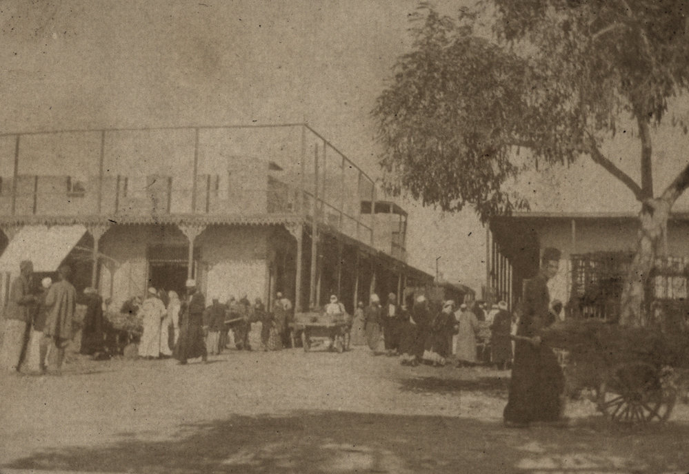 Photo from page 07 of album WWI Photograph Album- Egypt, Gallipoli &amp; the United Kingdom