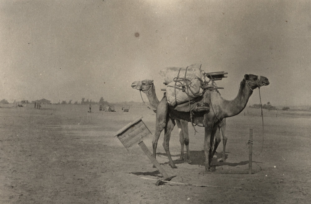 Photo from page 08 of album WWI Photograph Album- Egypt, Gallipoli &amp; the United Kingdom