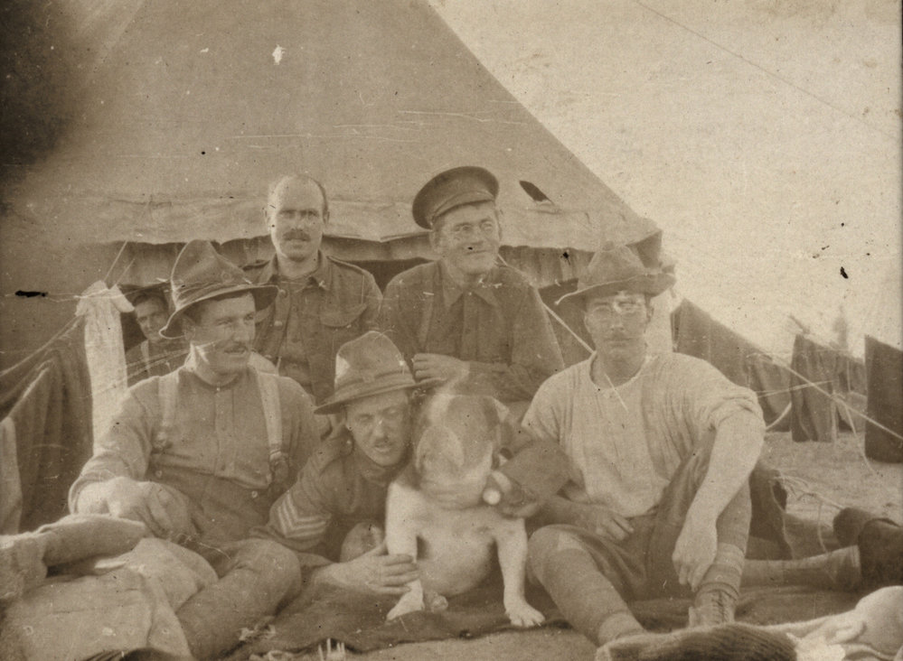 Photo from page 11 of album WWI Photograph Album- Egypt, Gallipoli &amp; the United Kingdom