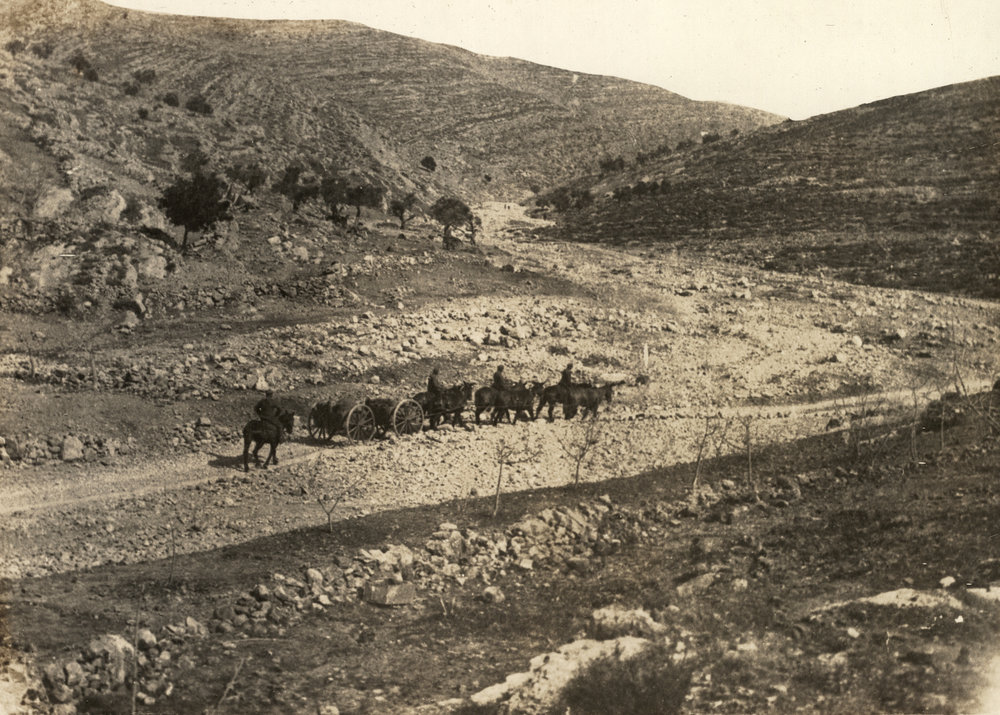 Photo from page 04 of album WWI Photograph Album- Egypt, Gallipoli, Palestine, France &amp; England