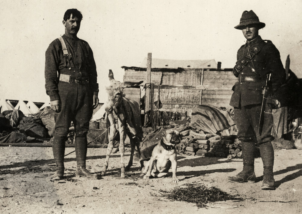 Photo from page 29 of album WWI Photograph Album- Egypt, Gallipoli, Palestine, France &amp; England