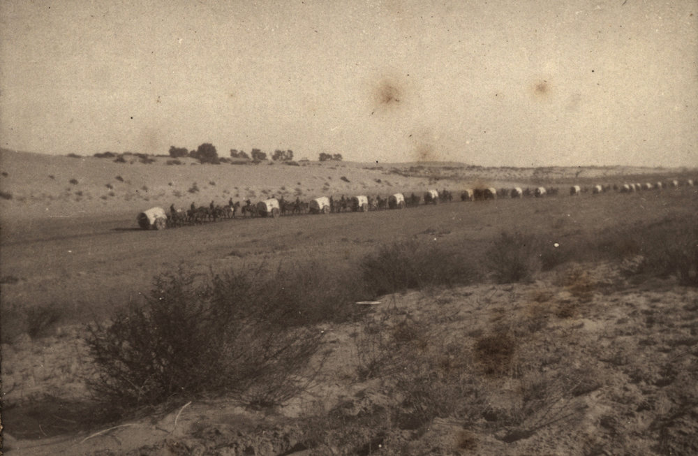 Photo from page 03 of album WWI Photograph Album- Gallipoli, Sinai &amp; Palestine