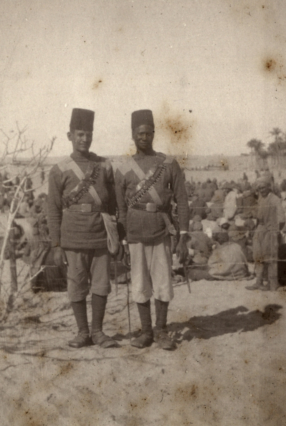 Photo from page 12 of album WWI Photograph Album- Gallipoli, Sinai &amp; Palestine