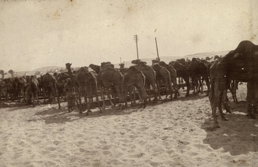 Photo from page 13 of album WWI Photograph Album- Gallipoli, Sinai &amp; Palestine