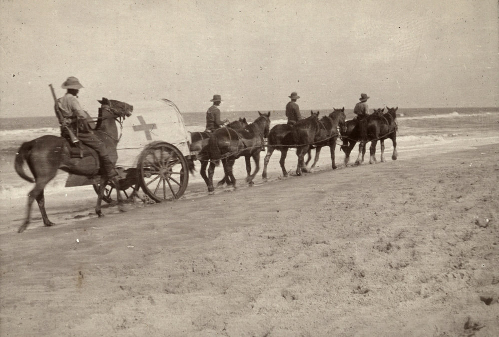 Photo from page 13 of album WWI Photograph Album- Gallipoli, Sinai &amp; Palestine