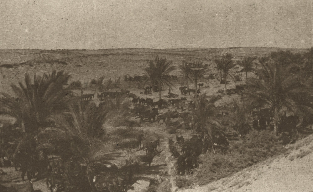 Photo from page 06 of album WWI Photograph Album- Sinai, Palestine and England