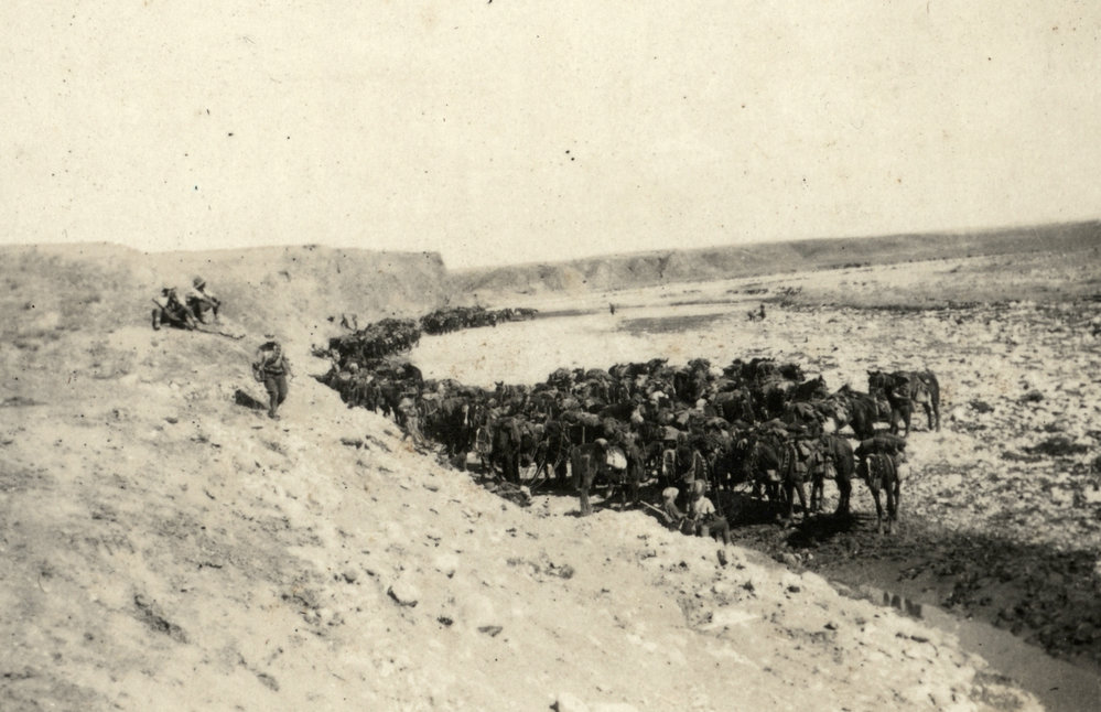 Photo from page 08 of album WWI Photograph Album- Sinai, Palestine and England