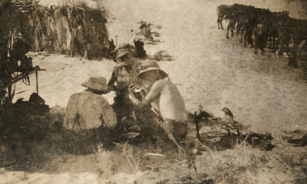 Photo from page 04 of album WWI Photograph Album- Gallipoli, Sinai &amp; Palestine