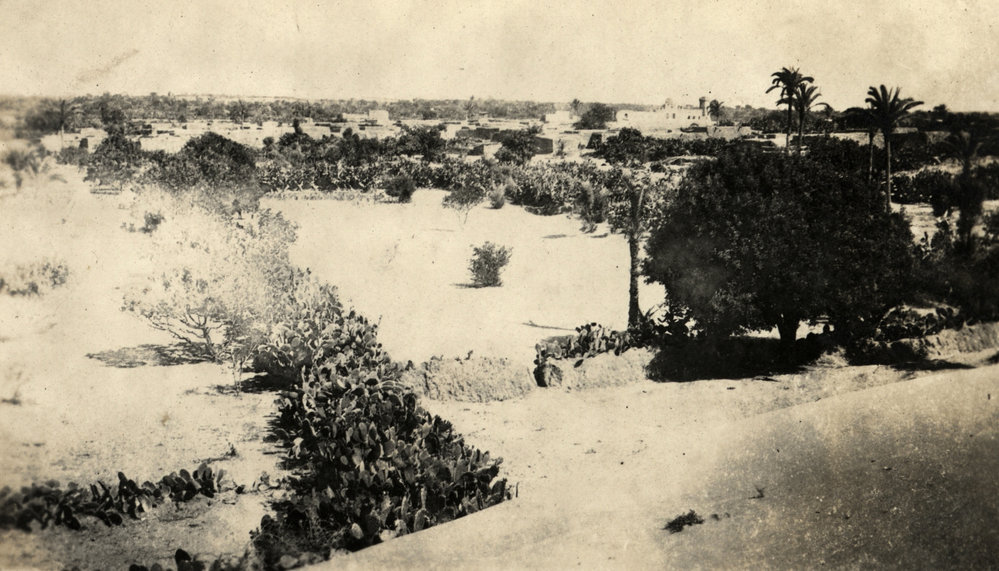 Photo from page 04 of album WWI Photograph Album- Gallipoli, Sinai &amp; Palestine
