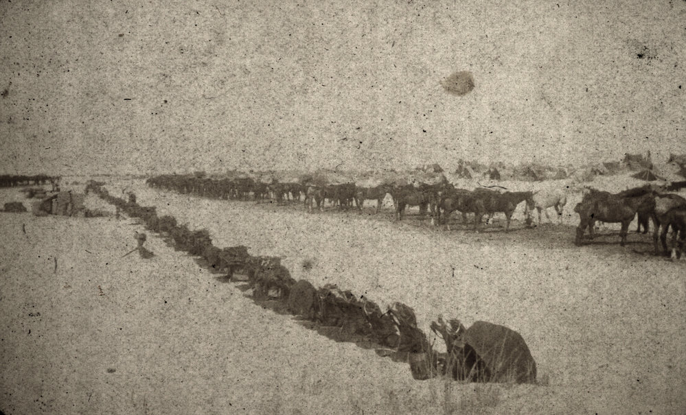 Photo from page 08 of album WWI Photograph Album- Gallipoli, Sinai &amp; Palestine