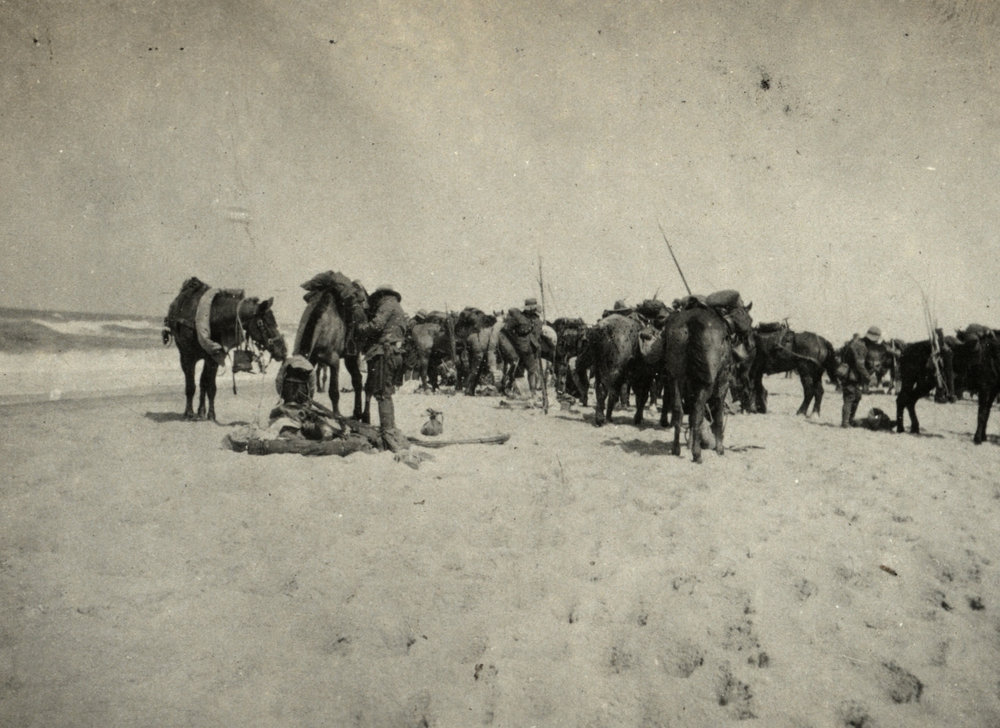 Photo from page 08 of album WWI Photograph Album- Gallipoli, Sinai &amp; Palestine