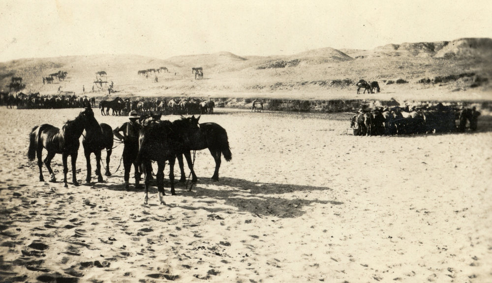 Photo from page 08 of album WWI Photograph Album- Gallipoli, Sinai &amp; Palestine