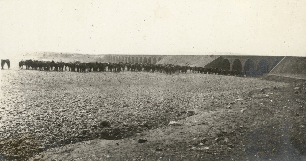 Photo from page 09 of album WWI Photograph Album- Gallipoli, Sinai &amp; Palestine