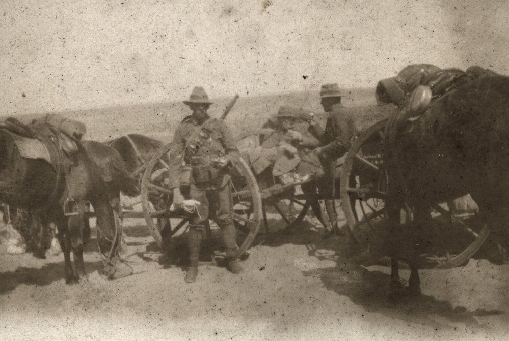 Photo from page 09 of album WWI Photograph Album- Gallipoli, Sinai &amp; Palestine