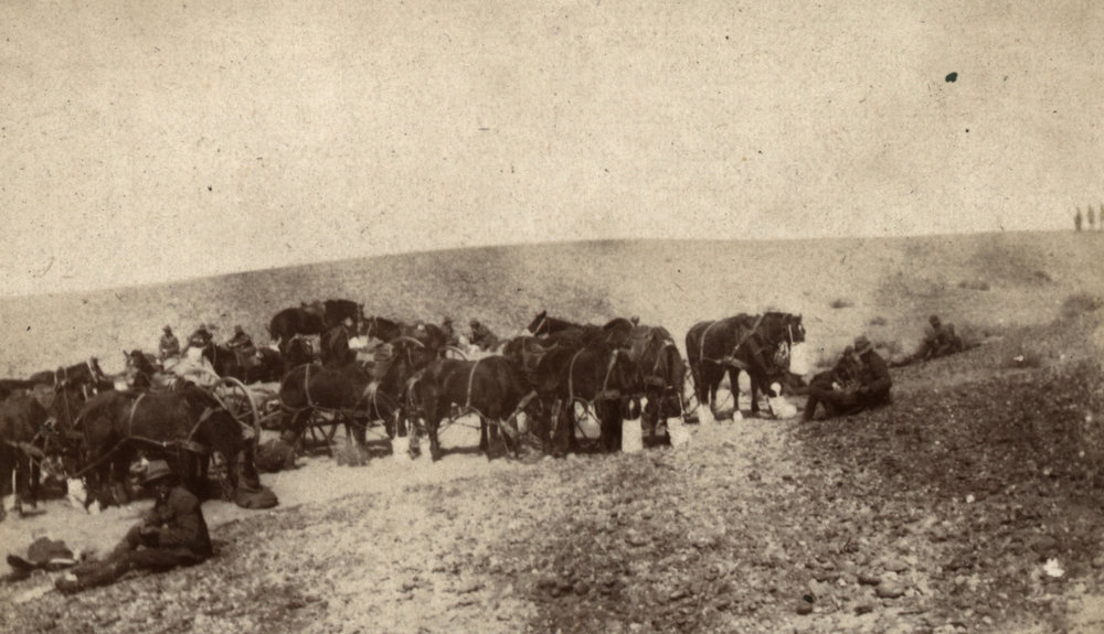 Photo from page 09 of album WWI Photograph Album- Gallipoli, Sinai &amp; Palestine