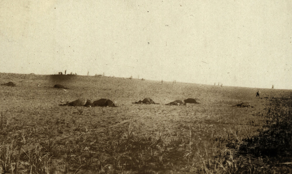 Photo from page 09 of album WWI Photograph Album- Gallipoli, Sinai &amp; Palestine