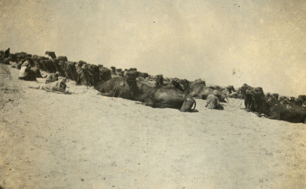 Photo from page 10 of album WWI Photograph Album- Gallipoli, Sinai &amp; Palestine