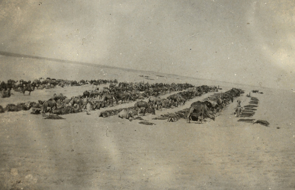 Photo from page 10 of album WWI Photograph Album- Gallipoli, Sinai &amp; Palestine