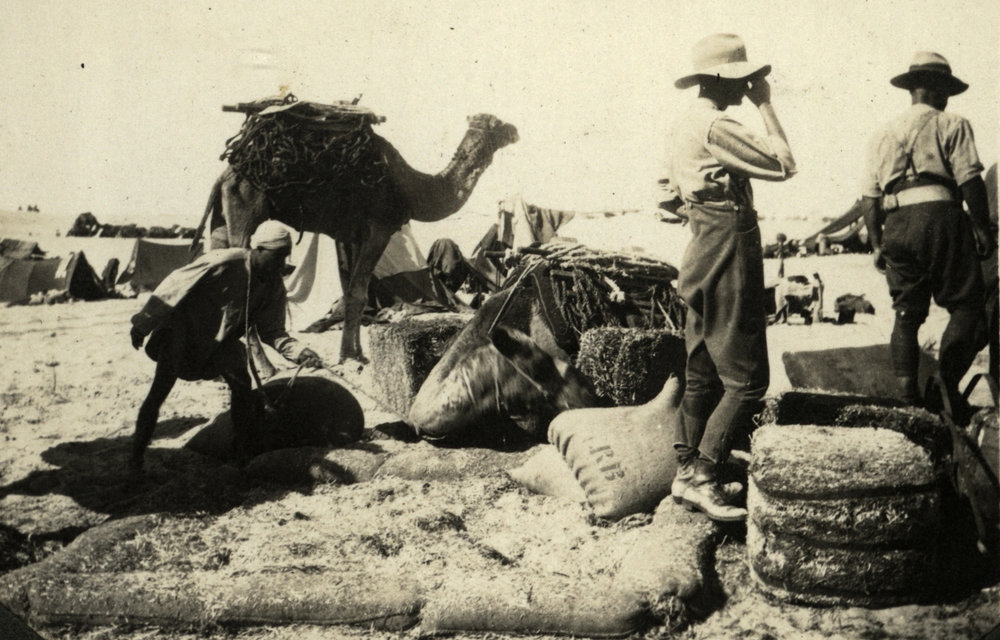 Photo from page 10 of album WWI Photograph Album- Gallipoli, Sinai &amp; Palestine