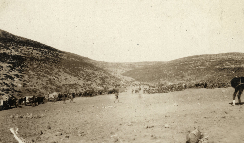 Photo from page 10 of album WWI Photograph Album- Gallipoli, Sinai &amp; Palestine
