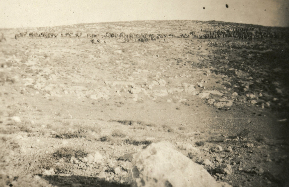 Photo from page 11 of album WWI Photograph Album- Gallipoli, Sinai &amp; Palestine