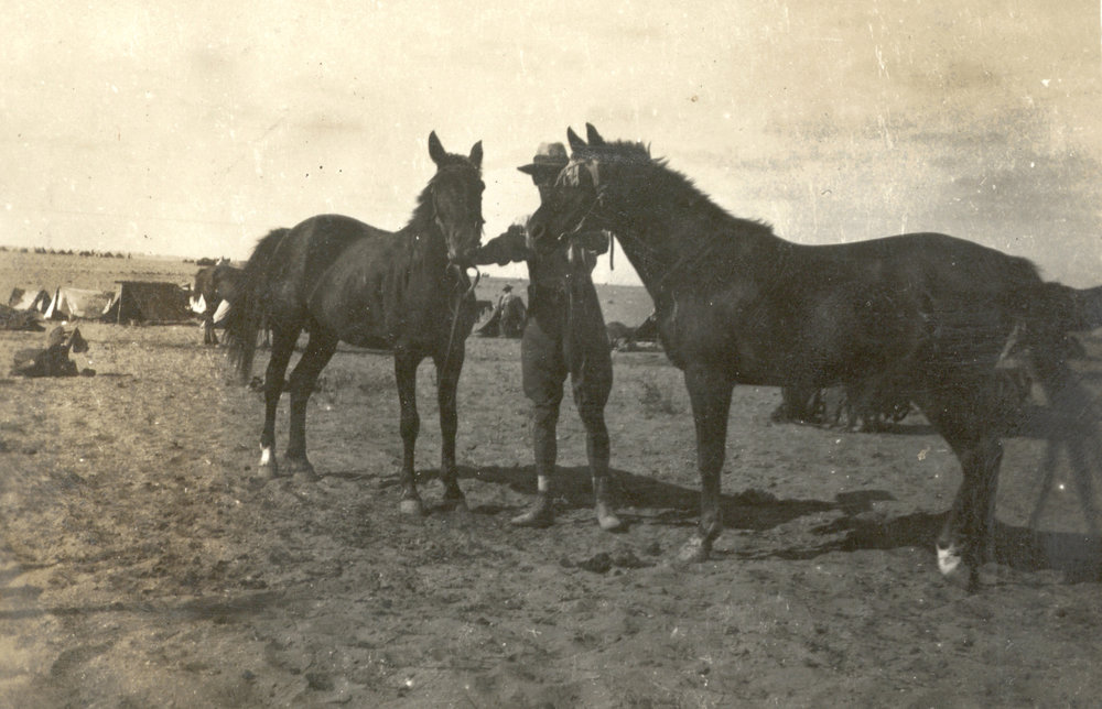 Photo from page 11 of album WWI Photograph Album- Gallipoli, Sinai &amp; Palestine