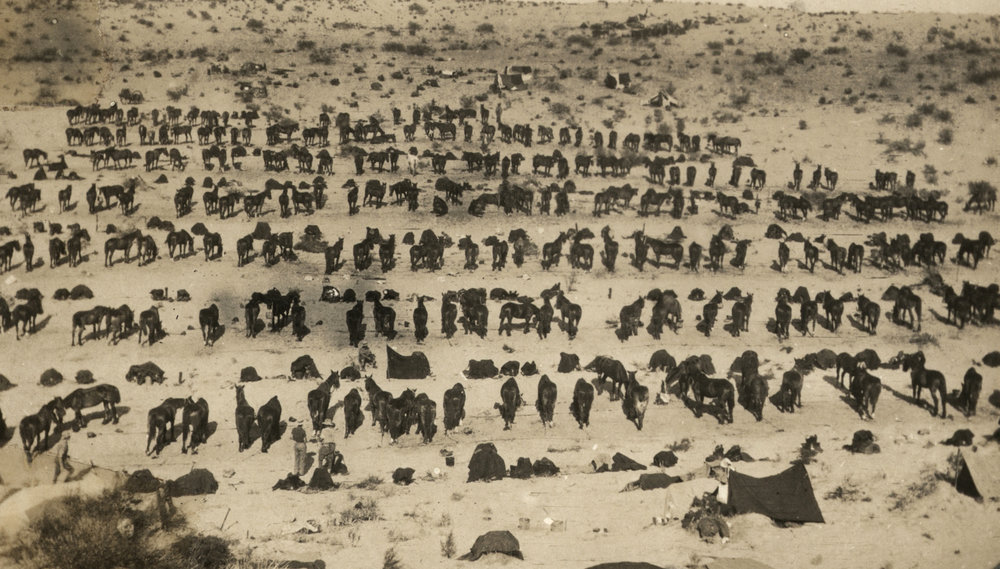 Photo from page 12 of album WWI Photograph Album- Gallipoli, Sinai &amp; Palestine