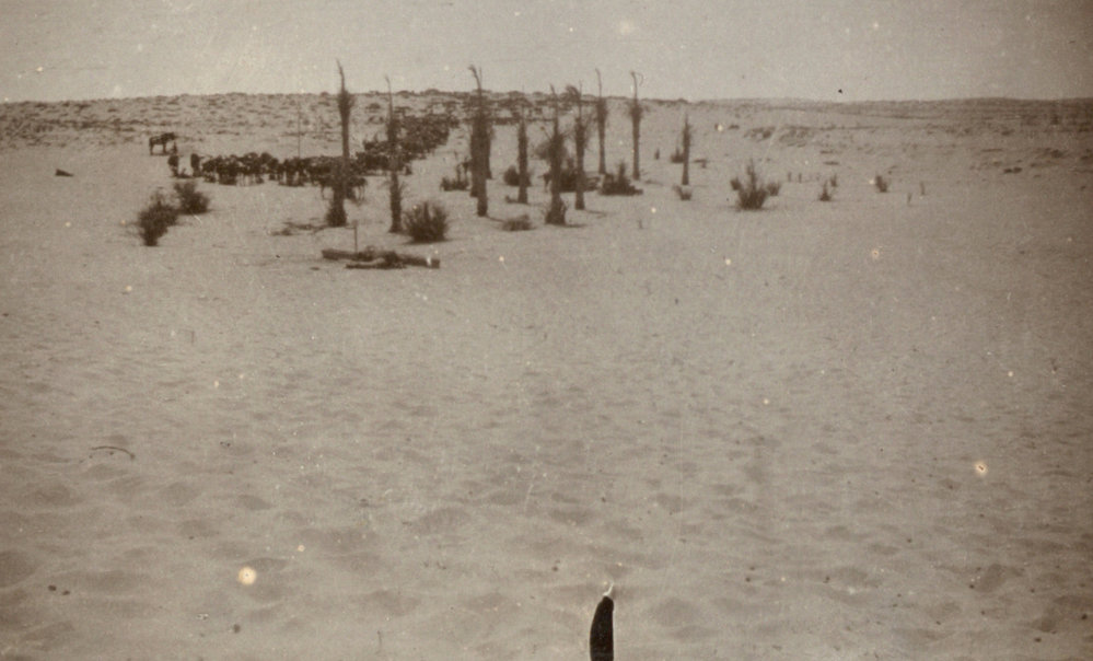Photo from page 18 of album WWI Photograph Album- Gallipoli, Sinai &amp; Palestine