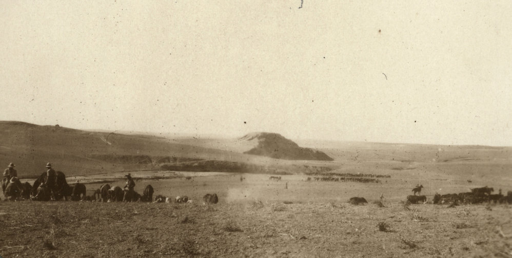 Photo from page 18 of album WWI Photograph Album- Gallipoli, Sinai &amp; Palestine