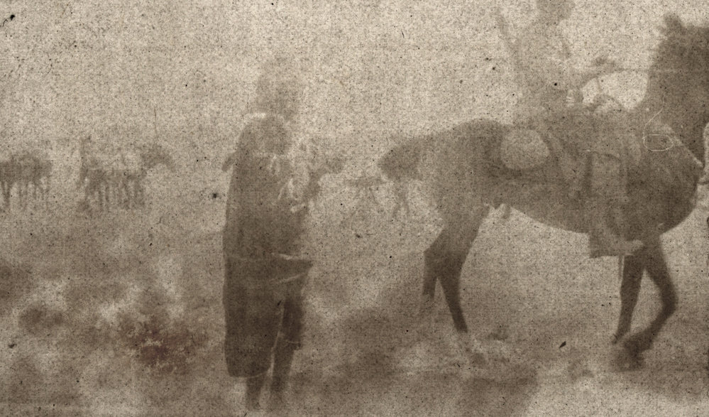 Photo from page 19 of album WWI Photograph Album- Gallipoli, Sinai &amp; Palestine