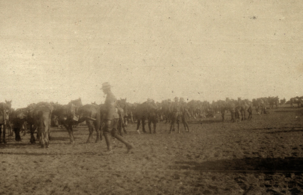 Photo from page 19 of album WWI Photograph Album- Gallipoli, Sinai &amp; Palestine