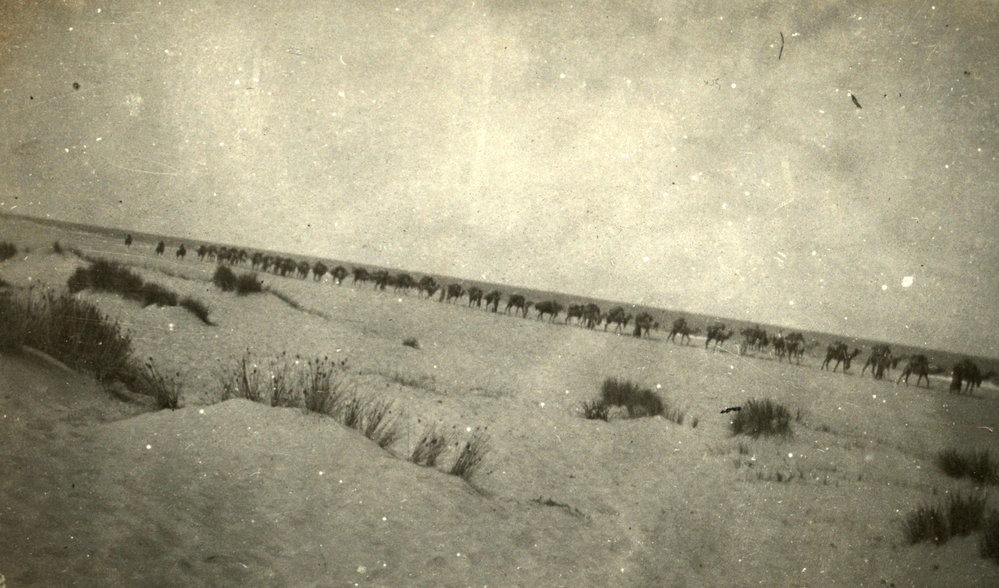 Photo from page 19 of album WWI Photograph Album- Gallipoli, Sinai &amp; Palestine