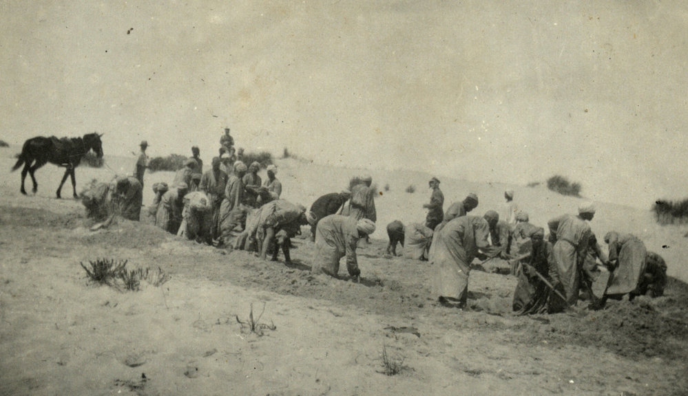 Photo from page 20 of album WWI Photograph Album- Gallipoli, Sinai &amp; Palestine