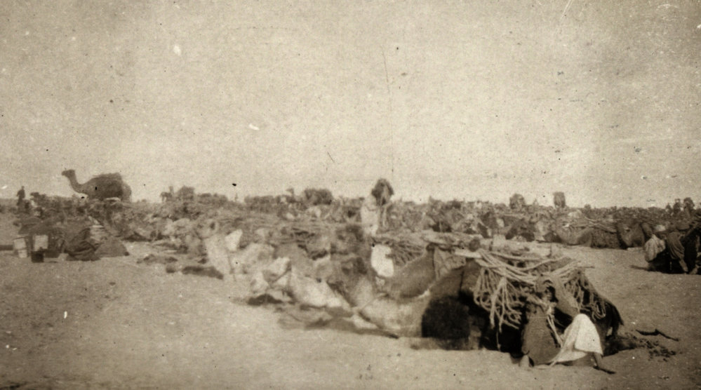 Photo from page 20 of album WWI Photograph Album- Gallipoli, Sinai &amp; Palestine