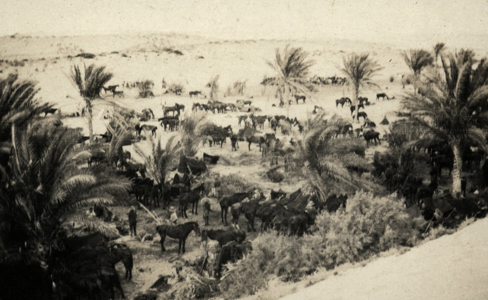 Photo from page 21 of album WWI Photograph Album- Gallipoli, Sinai &amp; Palestine