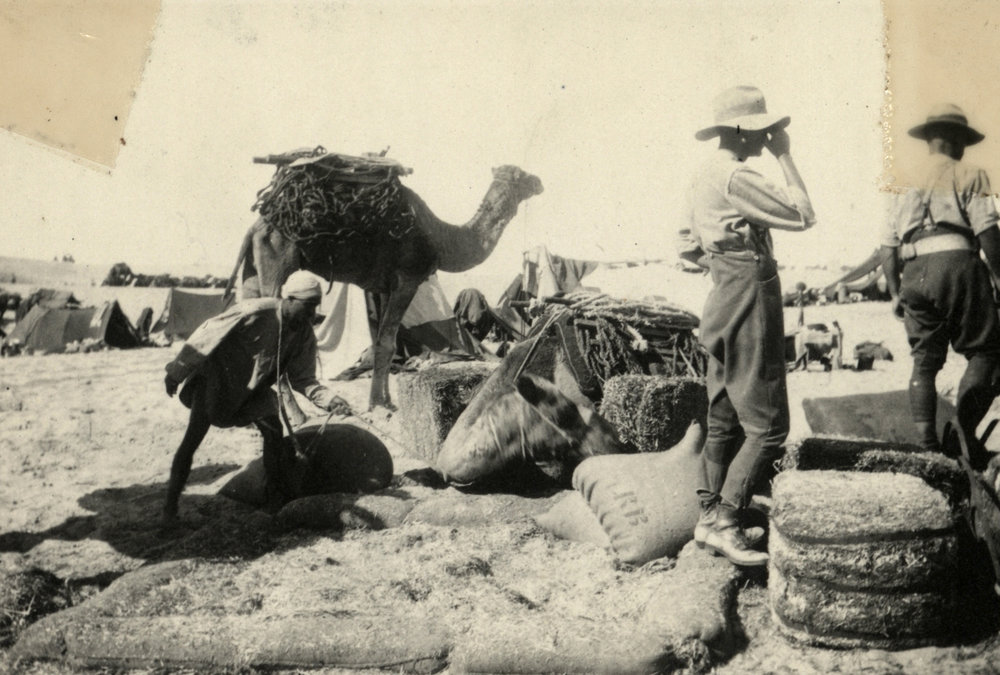 Photo from page 22 of album WWI Photograph Album- Gallipoli, Sinai &amp; Palestine