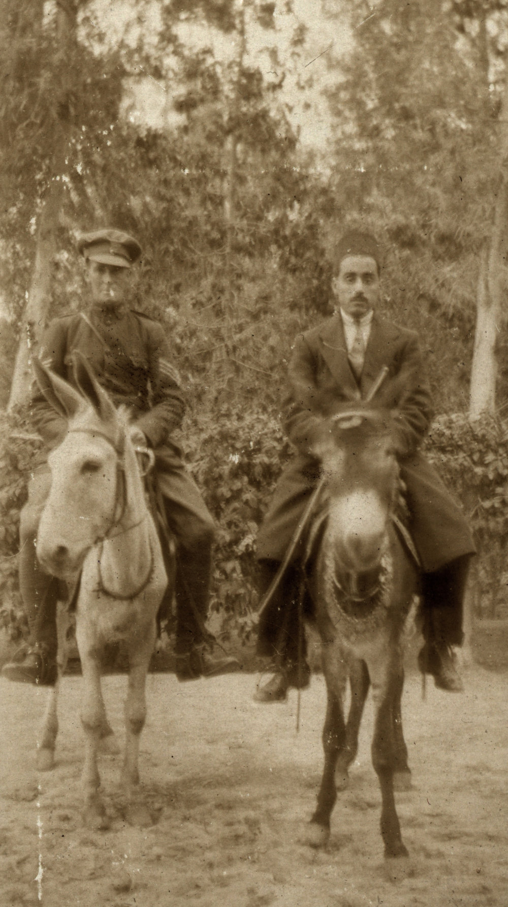 Photo from page 26 of album WWI Photograph Album- Gallipoli, Sinai &amp; Palestine