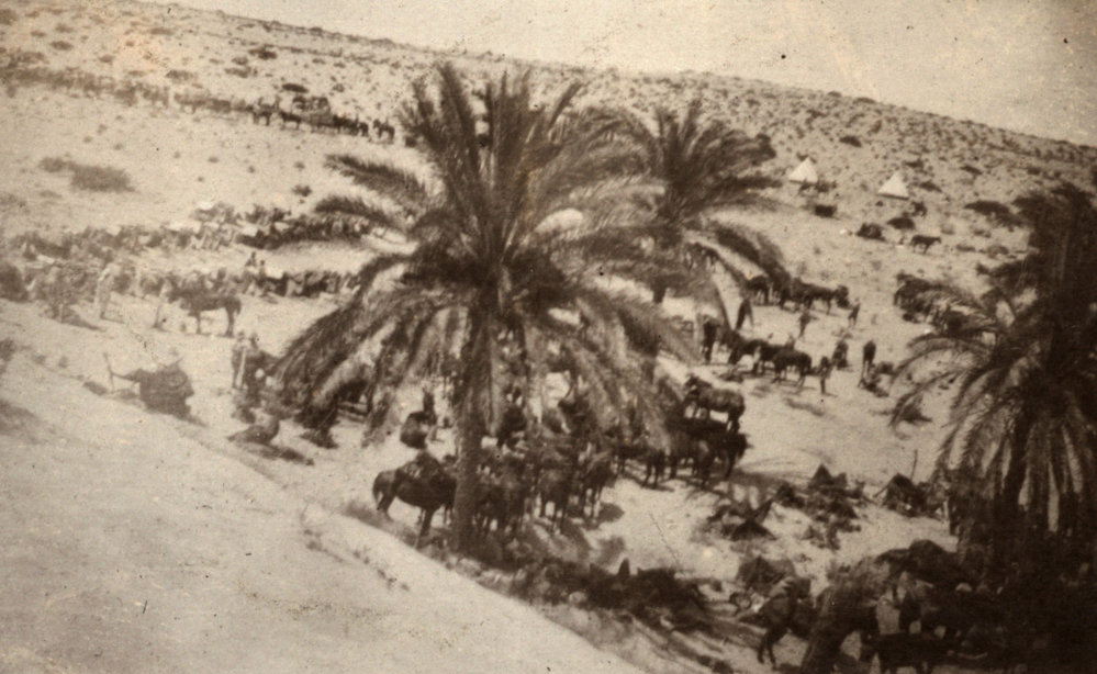 Photo from page 28 of album WWI Photograph Album- Gallipoli, Sinai &amp; Palestine