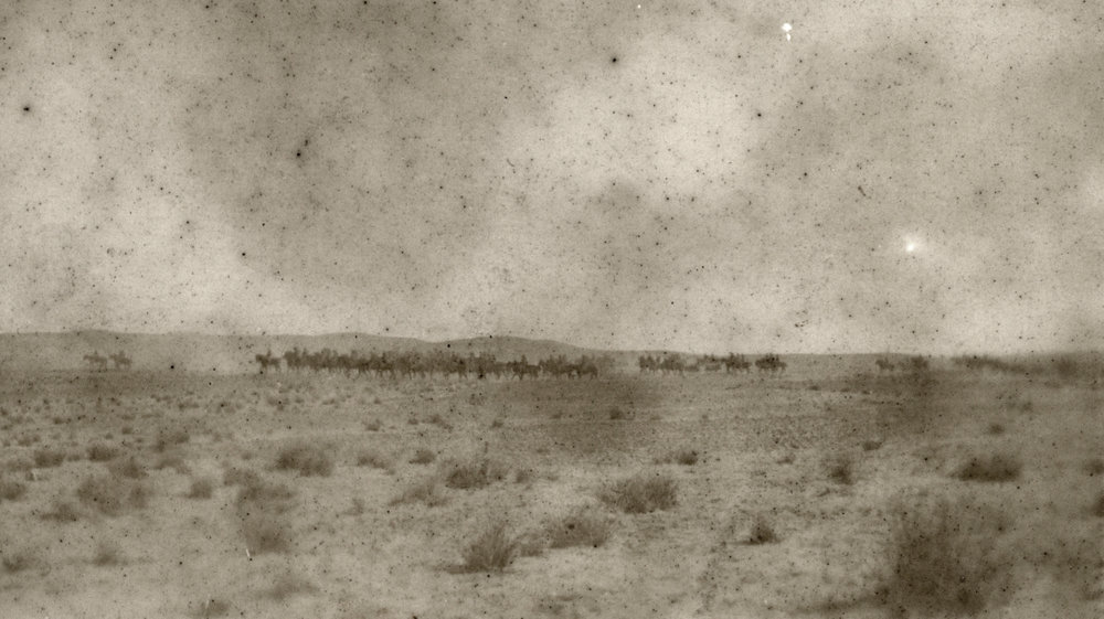 Photo from page 29 of album WWI Photograph Album- Gallipoli, Sinai &amp; Palestine