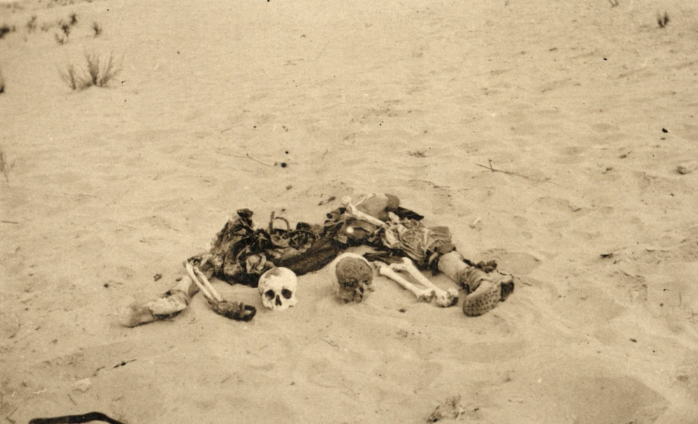 Photo from page 29 of album WWI Photograph Album- Gallipoli, Sinai &amp; Palestine