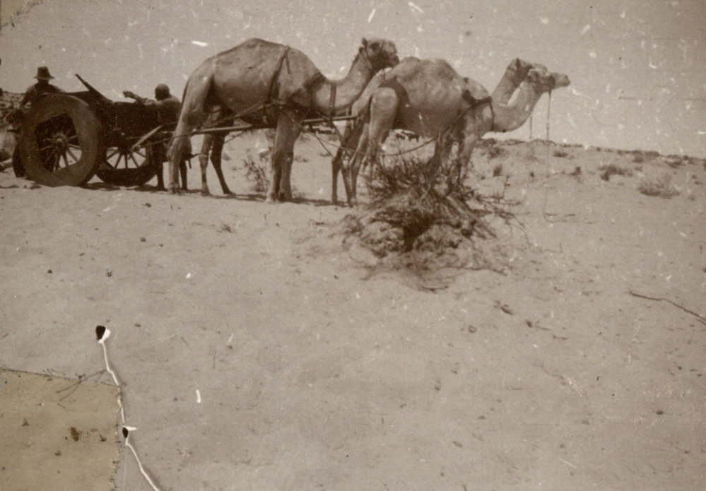 Photo from page 29 of album WWI Photograph Album- Gallipoli, Sinai &amp; Palestine