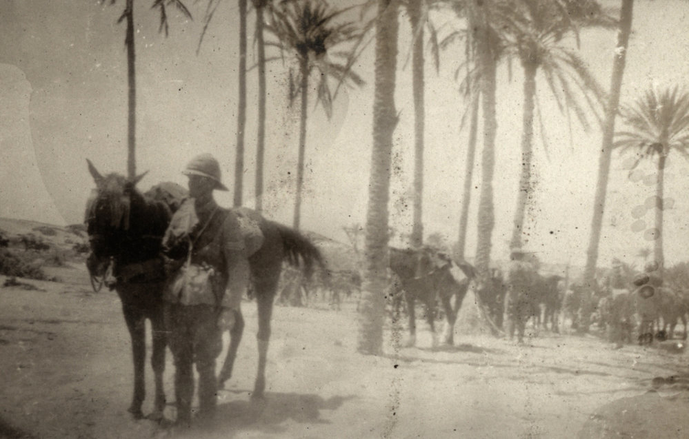 Photo from page 29 of album WWI Photograph Album- Gallipoli, Sinai &amp; Palestine