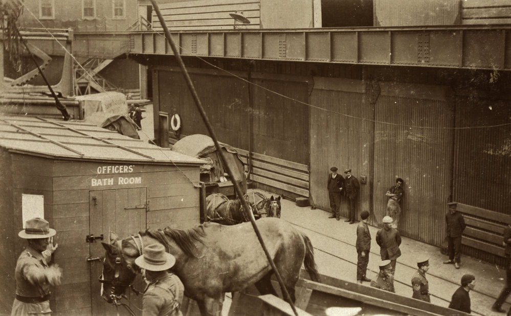 Photo from page 04 of album WWI Photograph Album- Egypt and Gallipoli