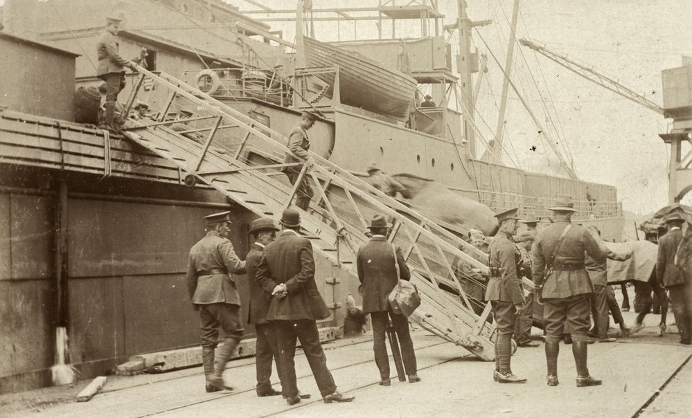 Photo from page 05 of album WWI Photograph Album- Egypt and Gallipoli