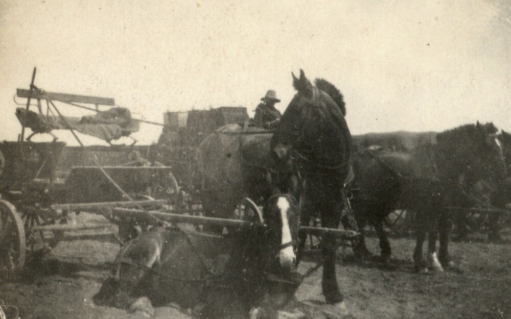 Photo from page 07 of album WWI Photograph Album- Egypt and Gallipoli