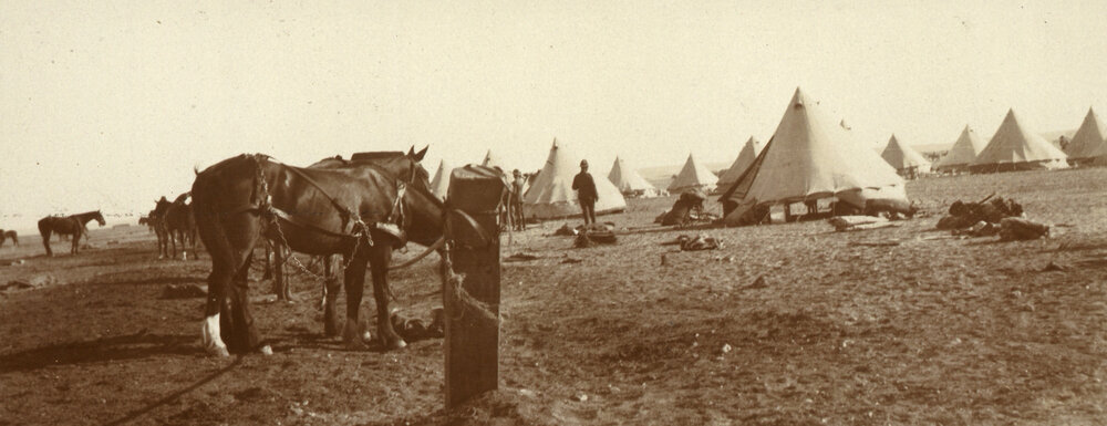 Photo from page 08 of album WWI Photograph Album- Egypt and Gallipoli